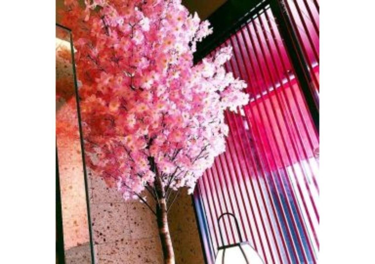 Sakura Sky Hotel - Vacation STAY 18444v Prefektura Tokio Exteriér fotografie